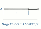 8 x 60mm Nageldübel m. Senkkopf Edelstahl A2 (1 Stk.)