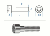 M6 x 10mm Zylinderschrauben TX ISO14579 Edelstahl A2 (10...