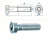 M6 x 10mm Zylinderschraube DIN7984 Stahl verzinkt FKL 8.8...