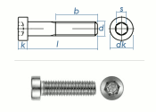 M6 x 10mm Zylinderschraube DIN7984 Edelstahl A2  (10 Stk.)