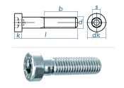 M10 x 16mm Zylinderschraube DIN6912 Stahl verzinkt FKL...