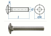 M10 x 40mm Torbandschrauben DIN603 Edelstahl A2 (1 Stk.)